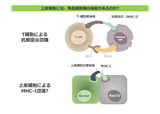 21' Science Japan meeting_Maruyama.jpg