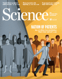 Science_20190308_6431_cover-source.gif
